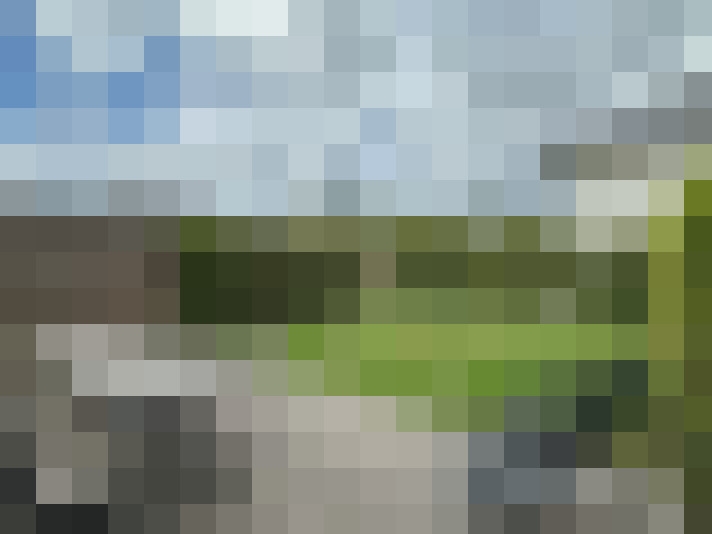 Image 13