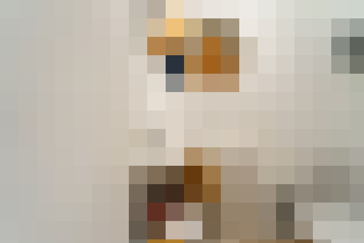 Image 38
