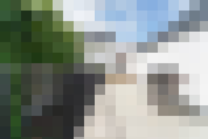 Image 20