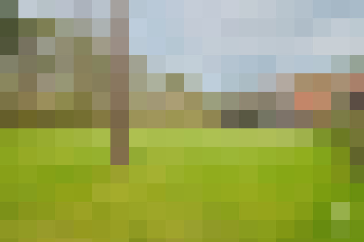 Image 14
