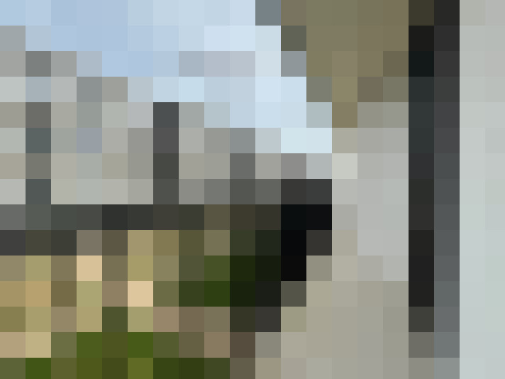 Image 15