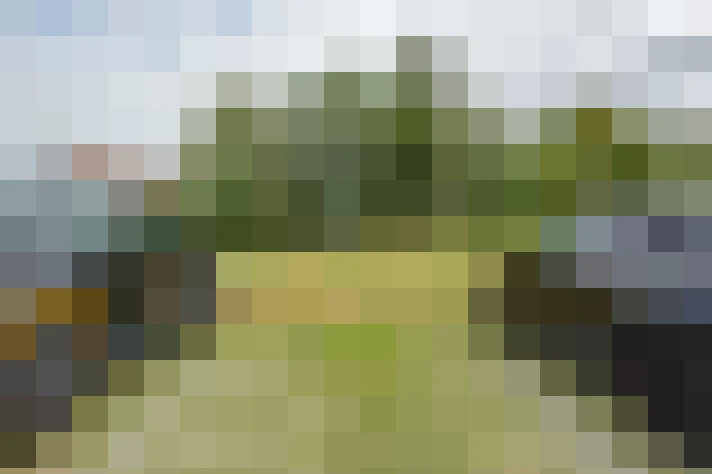 Image 18
