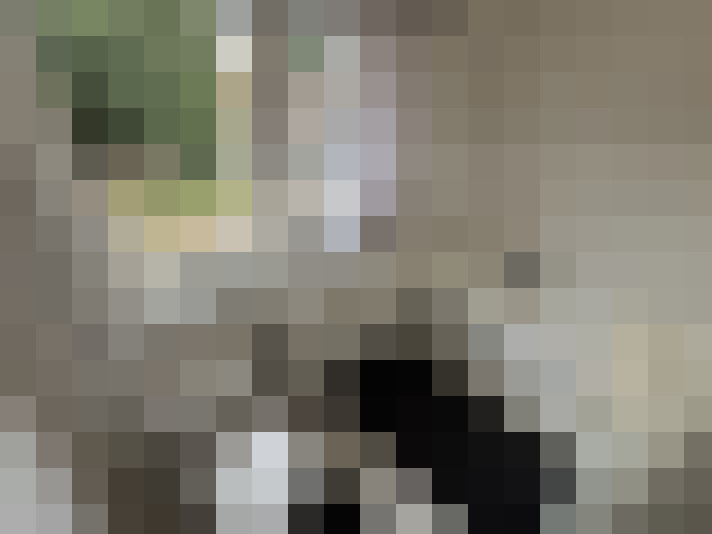 Image 20