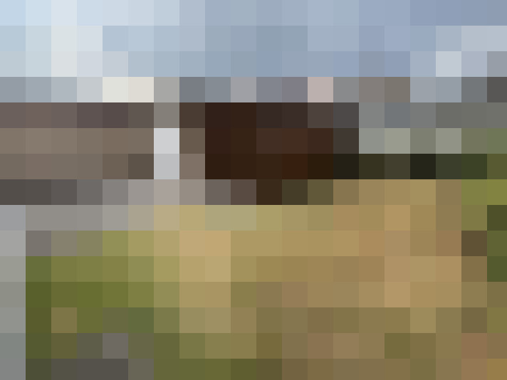 Image 23