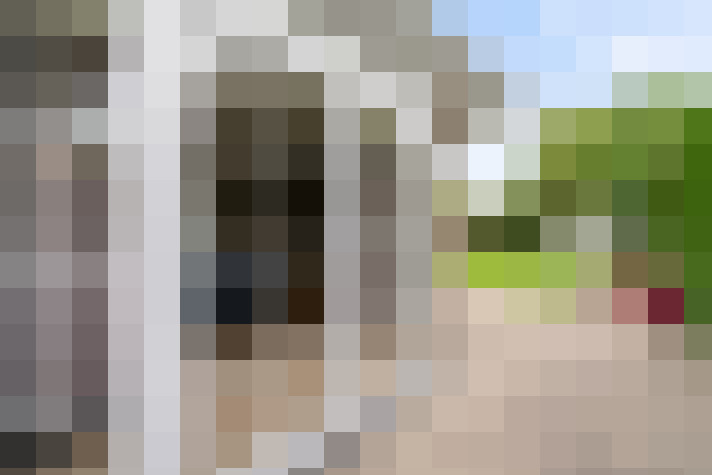 Image 20
