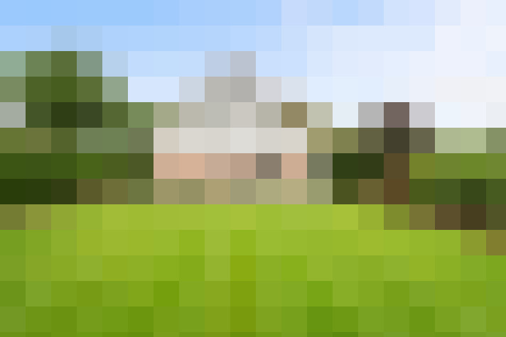 Image 25