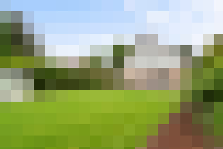Image 24