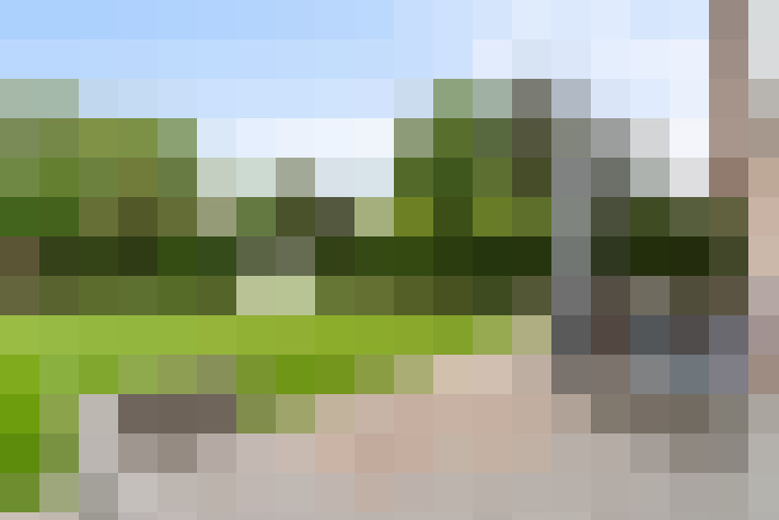 Image 23