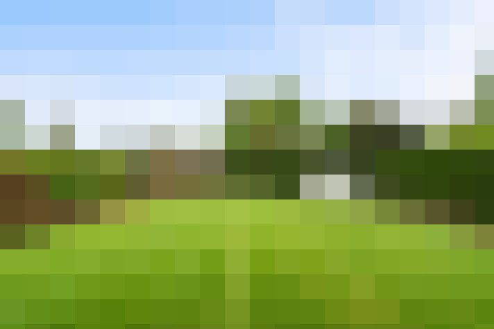Image 22