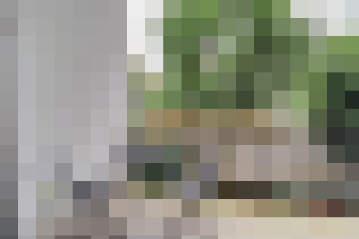 Image 13