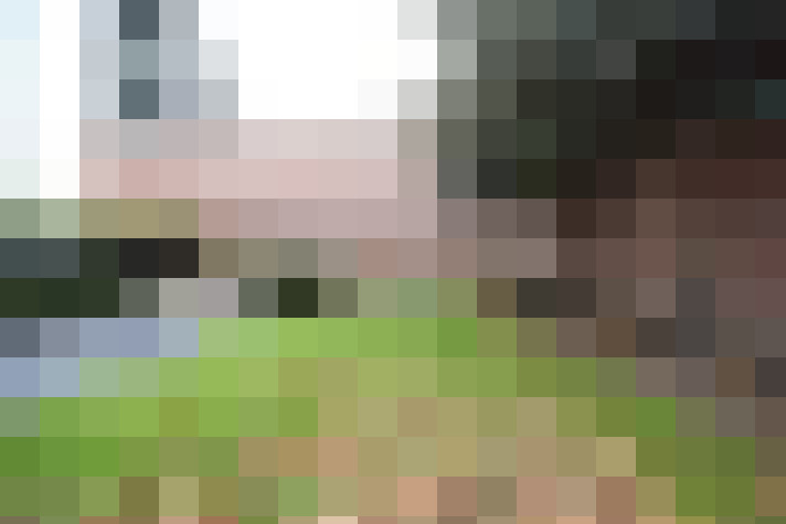 Image 22