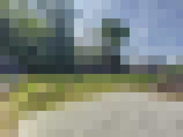 Image 16