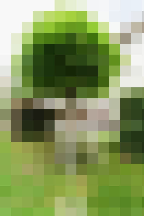 Image 30