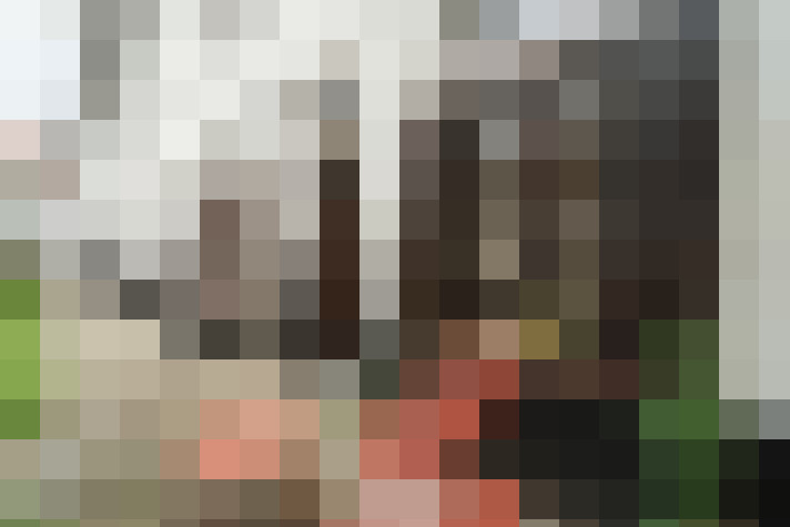 Image 25