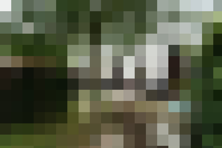 Image 29
