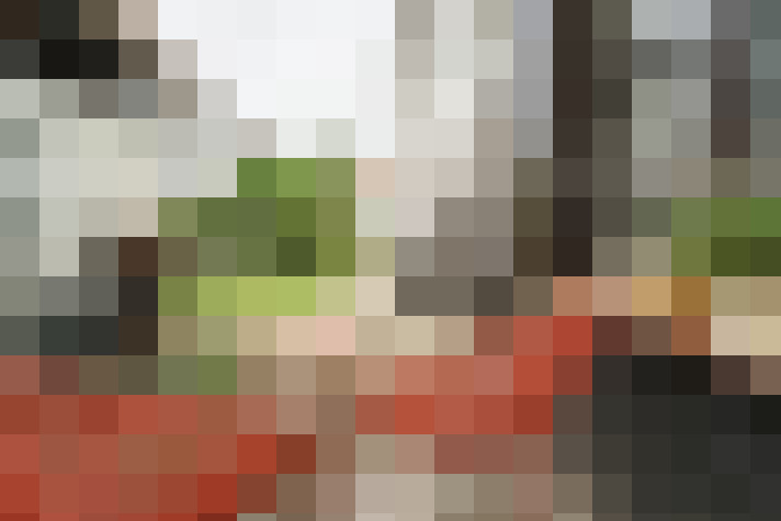 Image 26