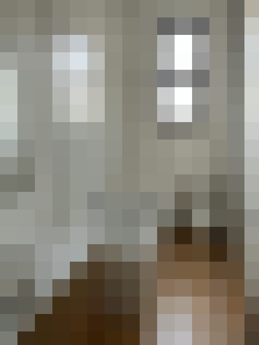 Image 13