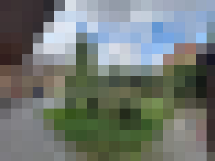 Image 14