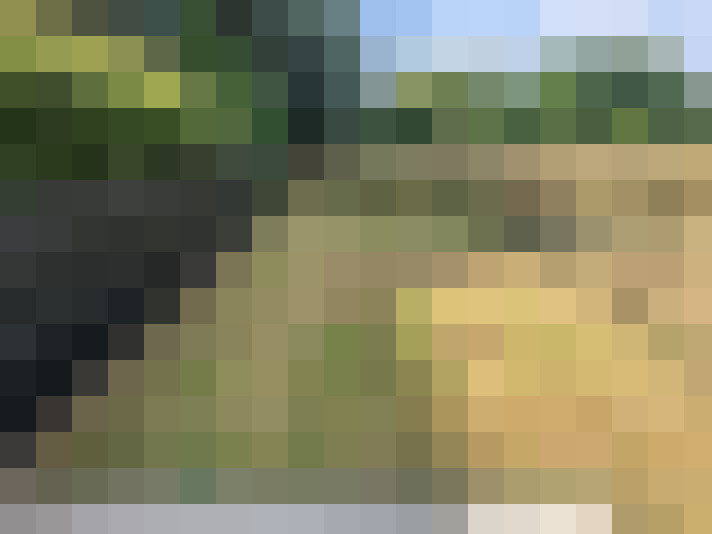 Image 15