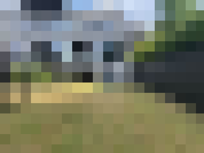 Image 16