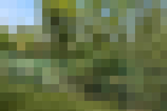 Image 25