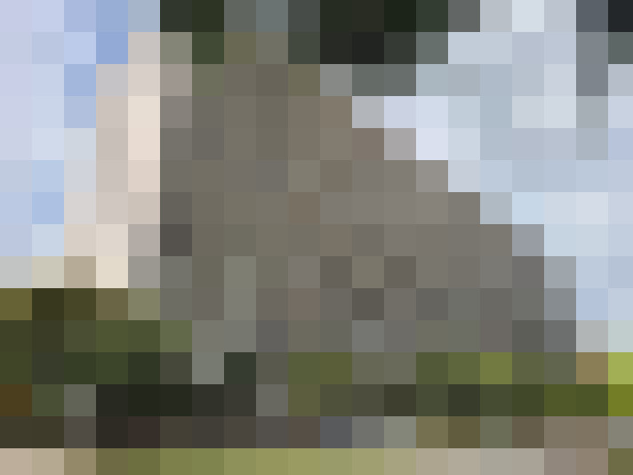 Image 14