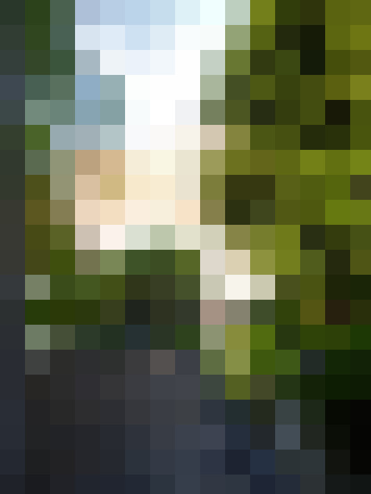 Image 13