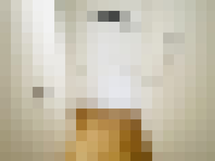 Image 31