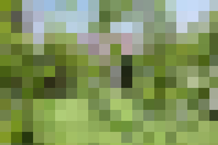 Image 20