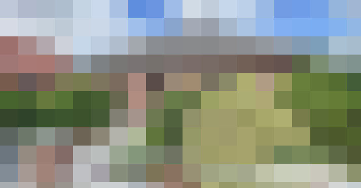Image 17