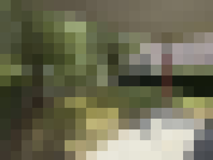 Image 20