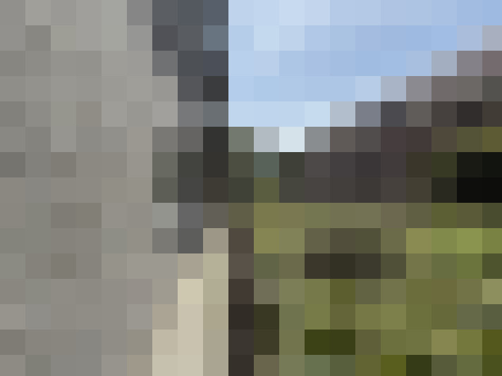 Image 21