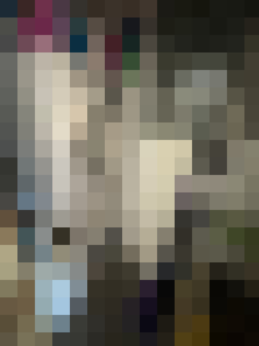 Image 31