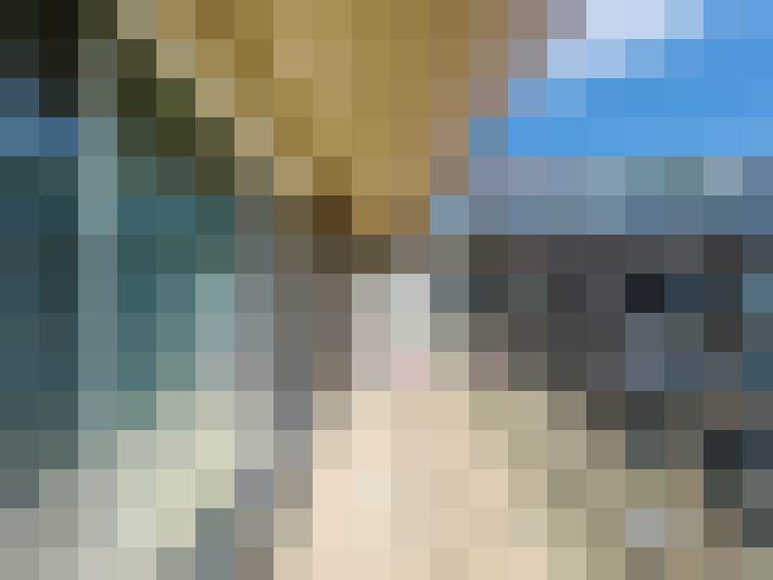 Image 15