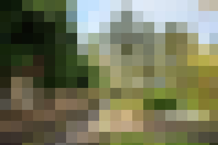 Image 13