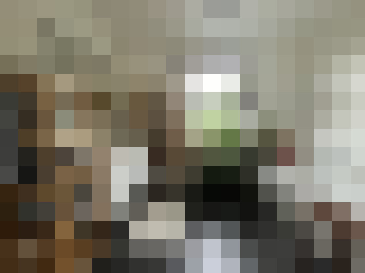 Image 13