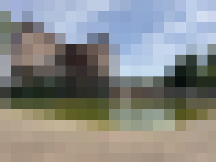 Image 16