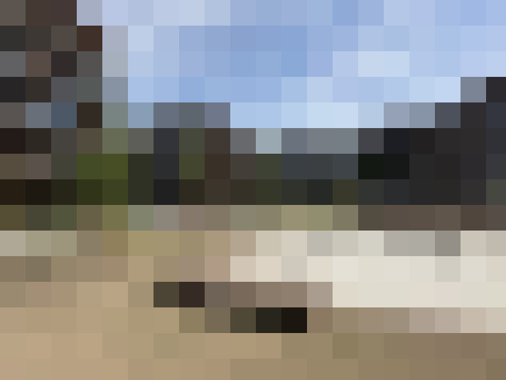 Image 15