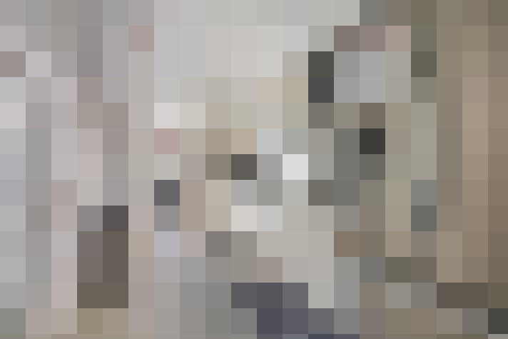 Image 20