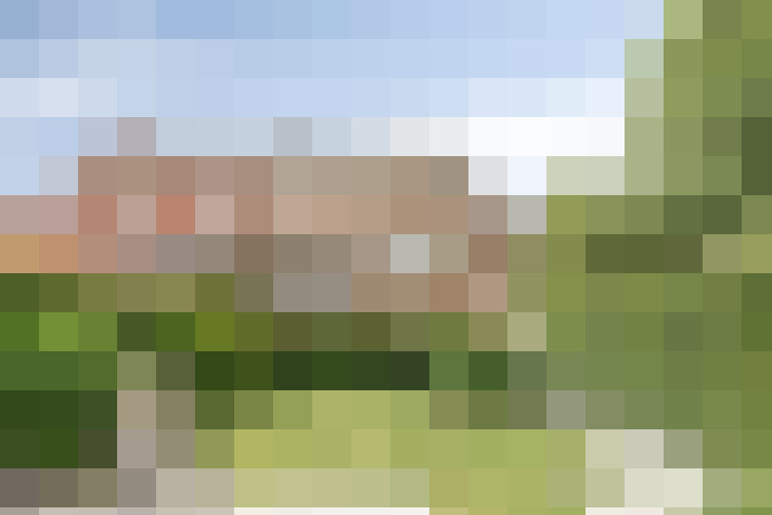 Image 38