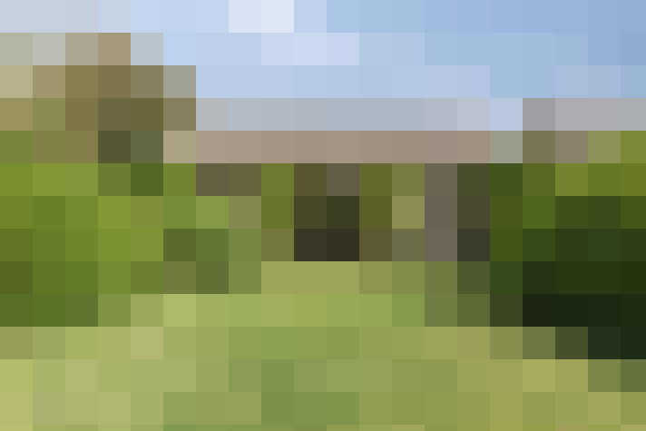 Image 23