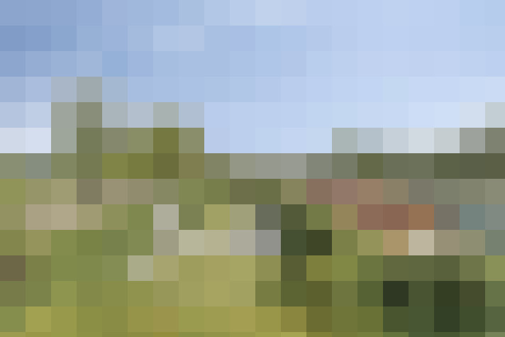 Image 22