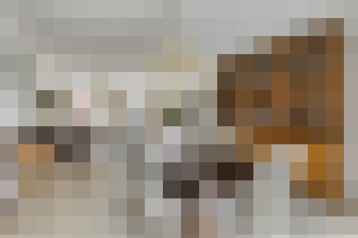 Image 17