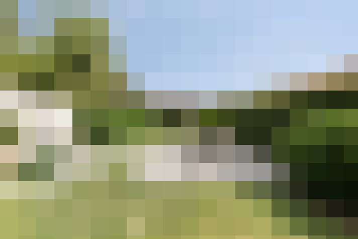 Image 35