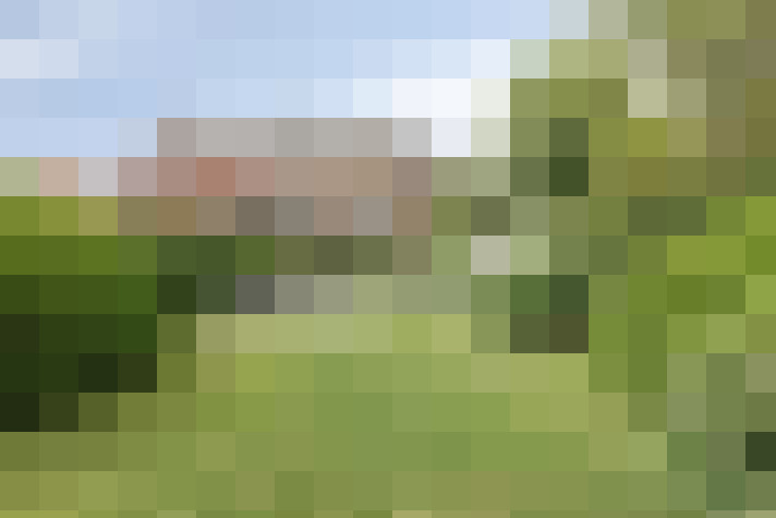 Image 41