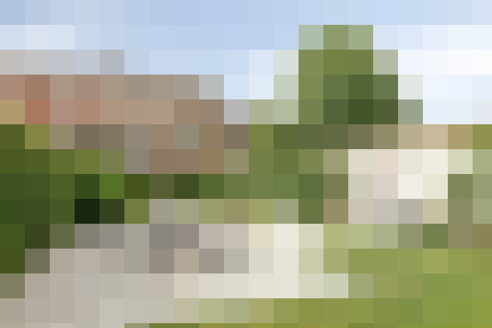 Image 24