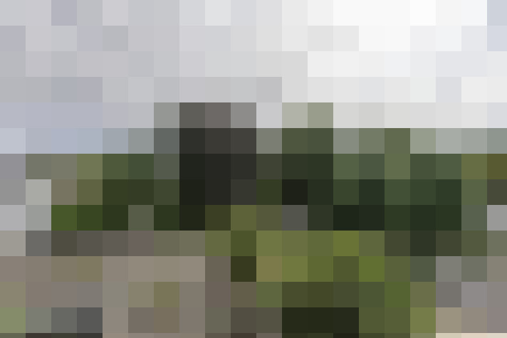 Image 23