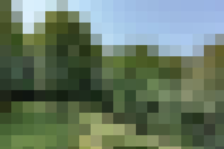 Image 24