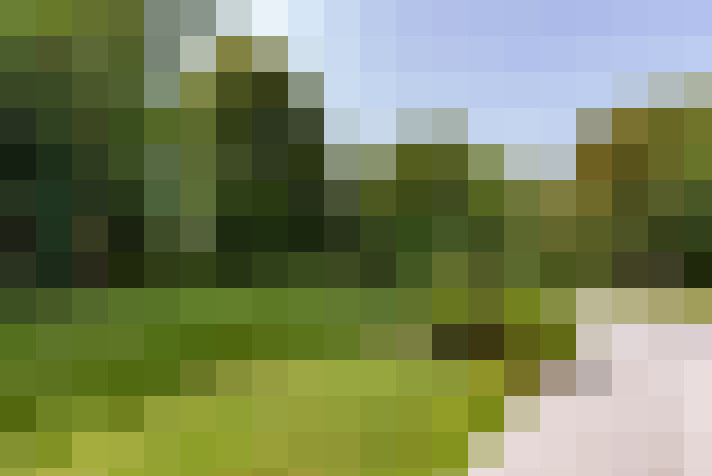 Image 35