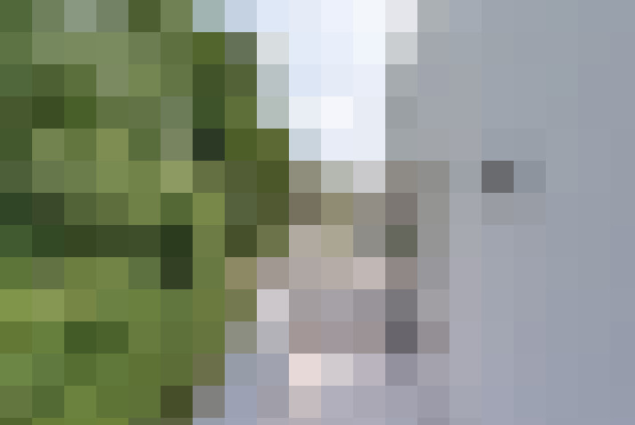 Image 26